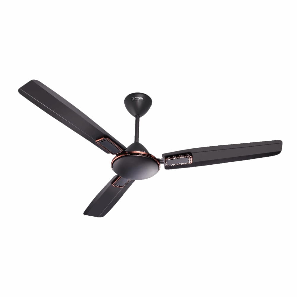 Ceiling Fan